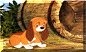 foxhound3.GIF (9621 bytes)